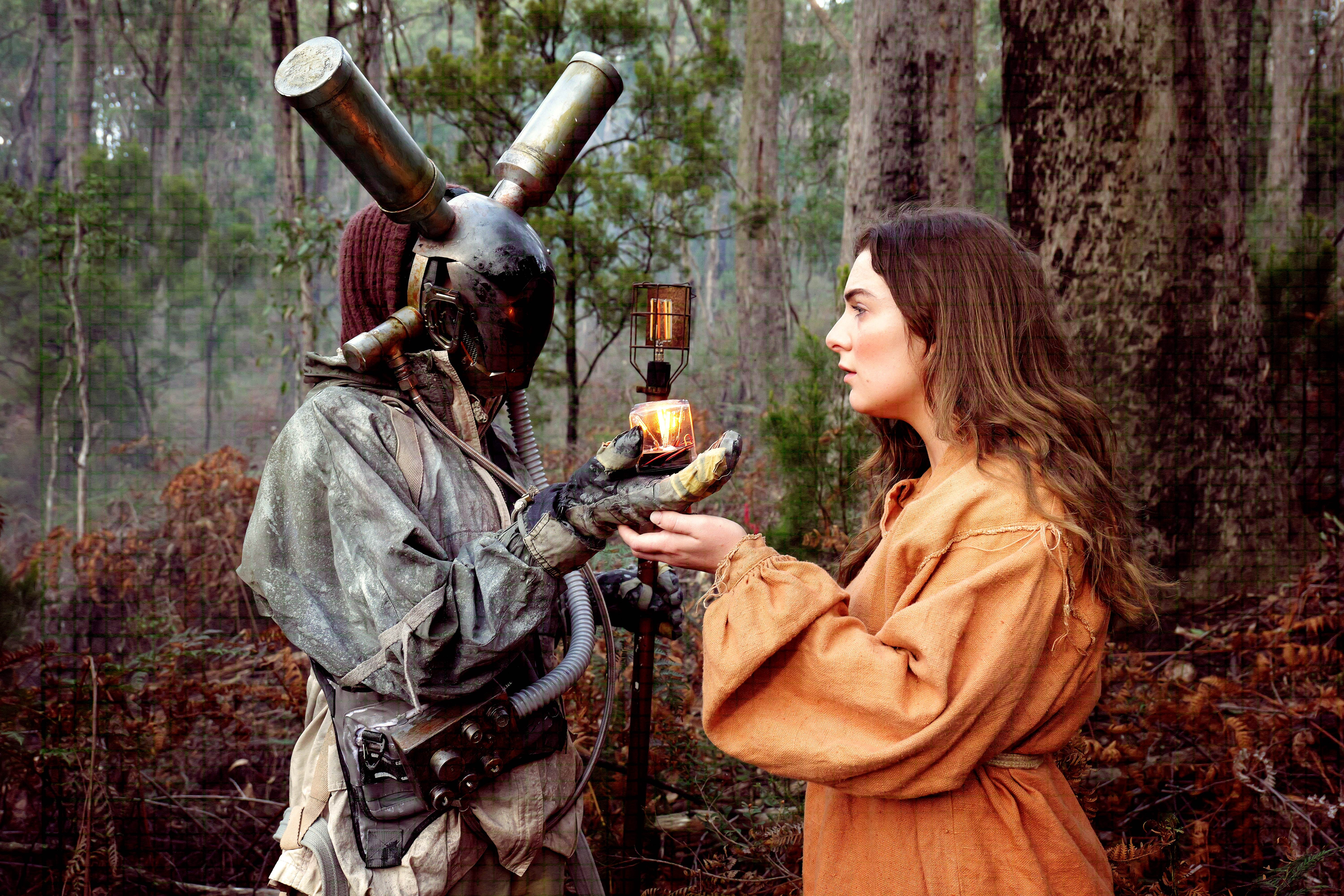 A Concise Compendium of Wonder