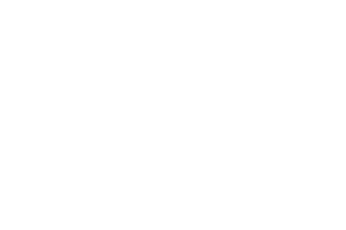 Logo of RISE Fund