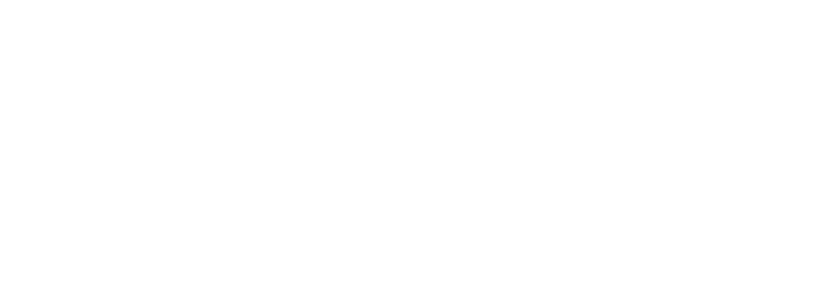 State Opera South Australia logo